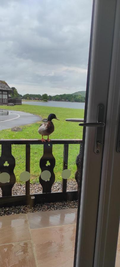 Tegid Lodge- Pine Lake Resort Carnforth Bagian luar foto